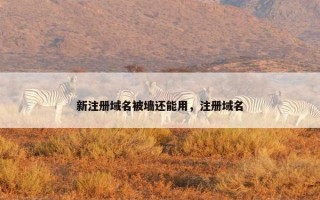 新注册域名被墙还能用，注册域名