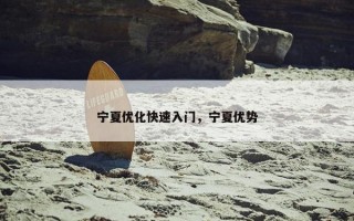 宁夏优化快速入门，宁夏优势