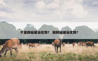 宁夏网站建设优势？ 微网站建设优势？