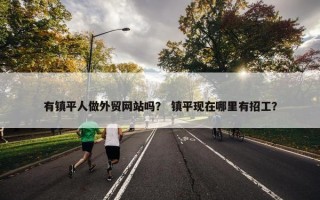 有镇平人做外贸网站吗？ 镇平现在哪里有招工？