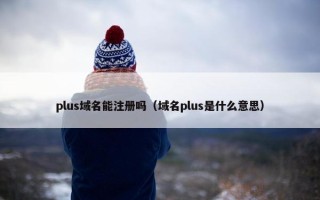 plus域名能注册吗（域名plus是什么意思）