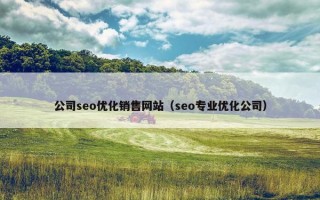公司seo优化销售网站（seo专业优化公司）