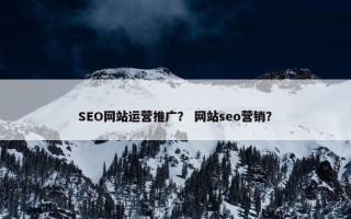 SEO网站运营推广？ 网站seo营销？