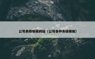 公司表格模板网站（公司各种表格模板）