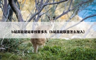b站高能建站审核要多久（b站高能联盟怎么加入）