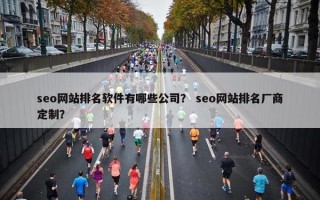 seo网站排名软件有哪些公司？ seo网站排名厂商定制？