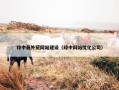 琼中县外贸网站建设（琼中网站优化公司）