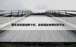 傻瓜自助建站哪个好，自助建站有哪好的平台