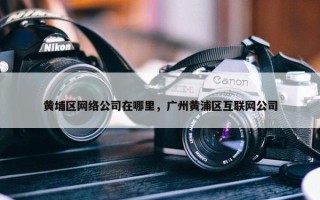 黄埔区网络公司在哪里，广州黄浦区互联网公司