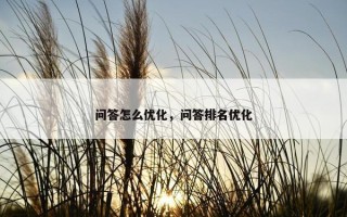问答怎么优化，问答排名优化