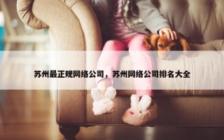 苏州最正规网络公司，苏州网络公司排名大全