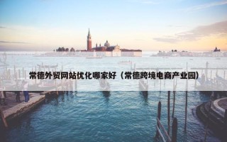 常德外贸网站优化哪家好（常德跨境电商产业园）
