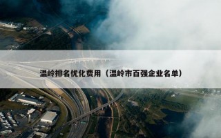 温岭排名优化费用（温岭市百强企业名单）