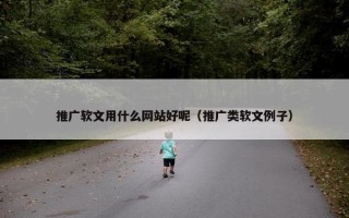 推广软文用什么网站好呢（推广类软文例子）