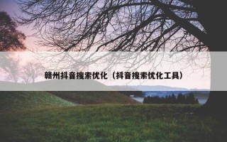 赣州抖音搜索优化（抖音搜索优化工具）