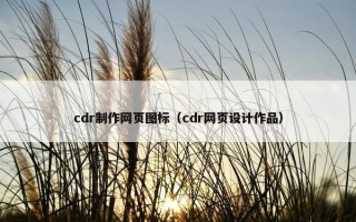 cdr制作网页图标（cdr网页设计作品）