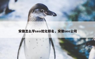 安徽怎么学seo优化排名，安徽seo公司