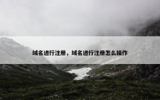 域名进行注册，域名进行注册怎么操作