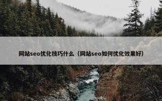 网站seo优化技巧什么（网站seo如何优化效果好）