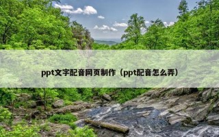 ppt文字配音网页制作（ppt配音怎么弄）