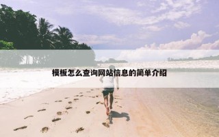 模板怎么查询网站信息的简单介绍