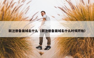 新注册备案域名什么（新注册备案域名什么时候开始）