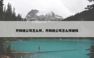 开网络公司怎么样，开网络公司怎么样赚钱
