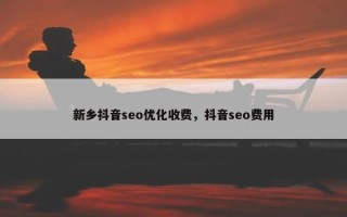 新乡抖音seo优化收费，抖音seo费用