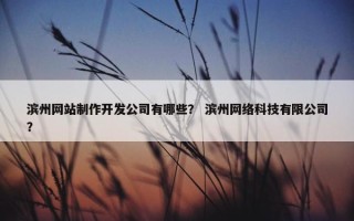 滨州网站制作开发公司有哪些？ 滨州网络科技有限公司？