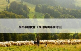 梅州丰顺优化（今日梅州丰顺论坛）