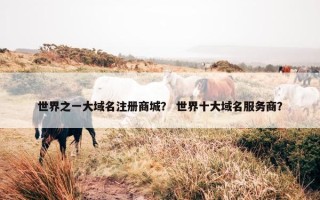 世界之一大域名注册商城？ 世界十大域名服务商？