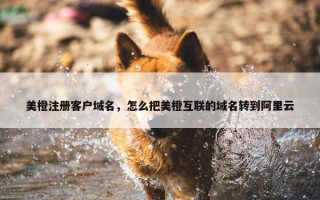 美橙注册客户域名，怎么把美橙互联的域名转到阿里云