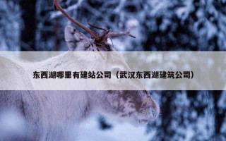 东西湖哪里有建站公司（武汉东西湖建筑公司）