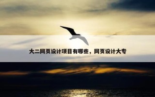 大二网页设计项目有哪些，网页设计大专