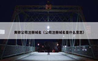 黄骅公司注册域名（公司注册域名是什么意思）