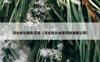 河北优化排名引流（河北优化水泵科技有限公司）