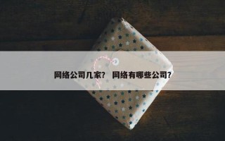 网络公司几家？ 网络有哪些公司？