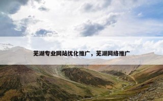 芜湖专业网站优化推广，芜湖网络推广