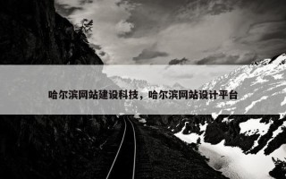 哈尔滨网站建设科技，哈尔滨网站设计平台