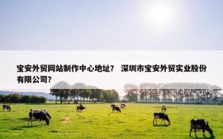 宝安外贸网站制作中心地址？ 深圳市宝安外贸实业股份有限公司？