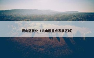 洪山区优化（洪山区重点发展区域）