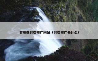 有哪些付费推广网站（付费推广是什么）