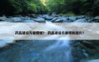 药品建设方案模板？ 药品建设方案模板图片？