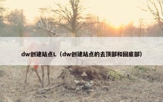 dw创建站点L（dw创建站点的去顶部和回底部）