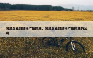 湘潭企业网络推广做网站，湘潭企业网络推广做网站的公司