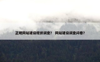 正规网站建设现状调查？ 网站建设调查问卷？