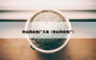 微山网站推广方案（微山网络推广）
