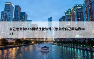 自己怎么做seo网站优化软件（怎么给自己网站做seo）