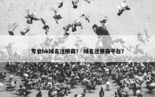 专业hk域名注册商？ 域名注册商平台？