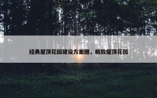 经典屋顶花园建设方案图，精致屋顶花园